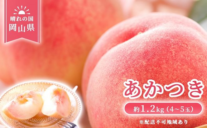 【 2027年 先行予約】 桃 岡山県産 あかつき 約1.2kg(4～5玉) 《2027年7月上旬-中旬頃出荷》 白桃 岡山 はくとう スイーツ フルーツ 果物 先行予約 数量限定 期間限定 岡山 里庄町 モモ もも 桃