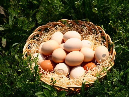 【1.3-36】【卵】松阪うまれのいきいきたまご（90個入り（割れ補償含む））