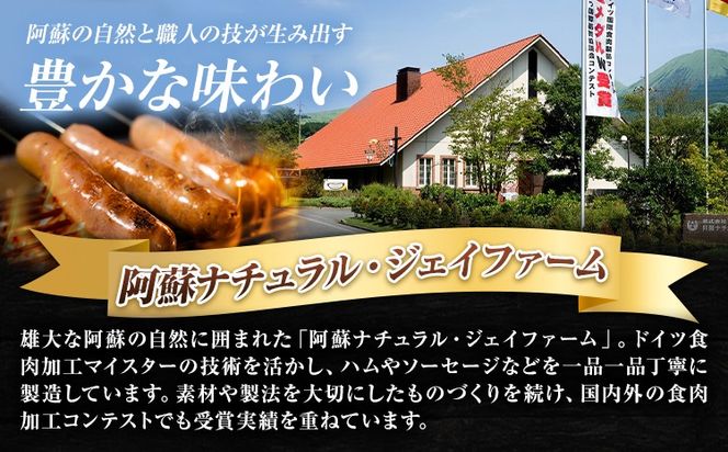 阿蘇の逸品 AN-60 ベーコン・ハム・ソーセージ 6種セット 株式会社阿蘇ナチュラル・ジェイファーム 《30日以内に出荷予定(土日祝除く)》 熊本県 南阿蘇村 炭火 スモーク ベーコン ハム ソーセージ ウィンナー---sms_anj60_30d_26_24500_6p---