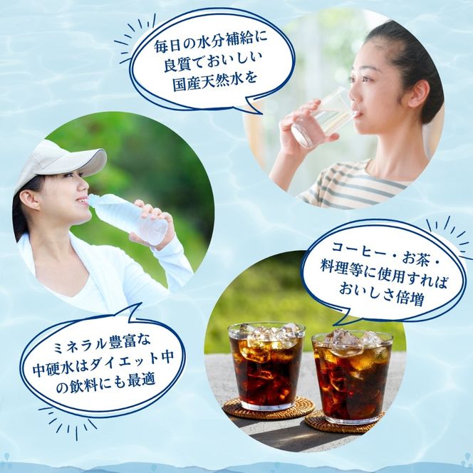 【ミネラルたっぷり天然水】細野の天然水 1020ml×12本 1箱 （ミネラルウォーター 天然水 水 中硬水 シリカ シリカ水 ミネラル 美容 健康 人気 霧島 宮崎県 小林市）
