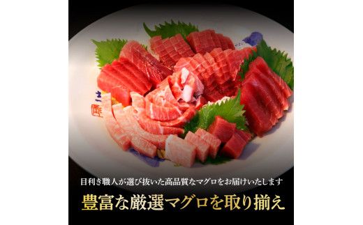 鮪 中トロ500g・赤身400g 合せて900g 赤身と中トロのセット 赤身 マグロ まぐろ 本まぐろ 刺身 刺し身 魚 海鮮 冷凍 美味しい おいしい 食べ比べ セット【株式会社大熊】 [BQAA048]