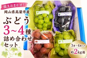 園主おまかせ！ぶどう3～4種詰め合わせセット 3房～4房入り 約2kg 化粧箱 岡山県 高梁市産