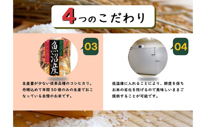 数量限定 従来品種 魚沼産コシヒカリ 精米 5kg