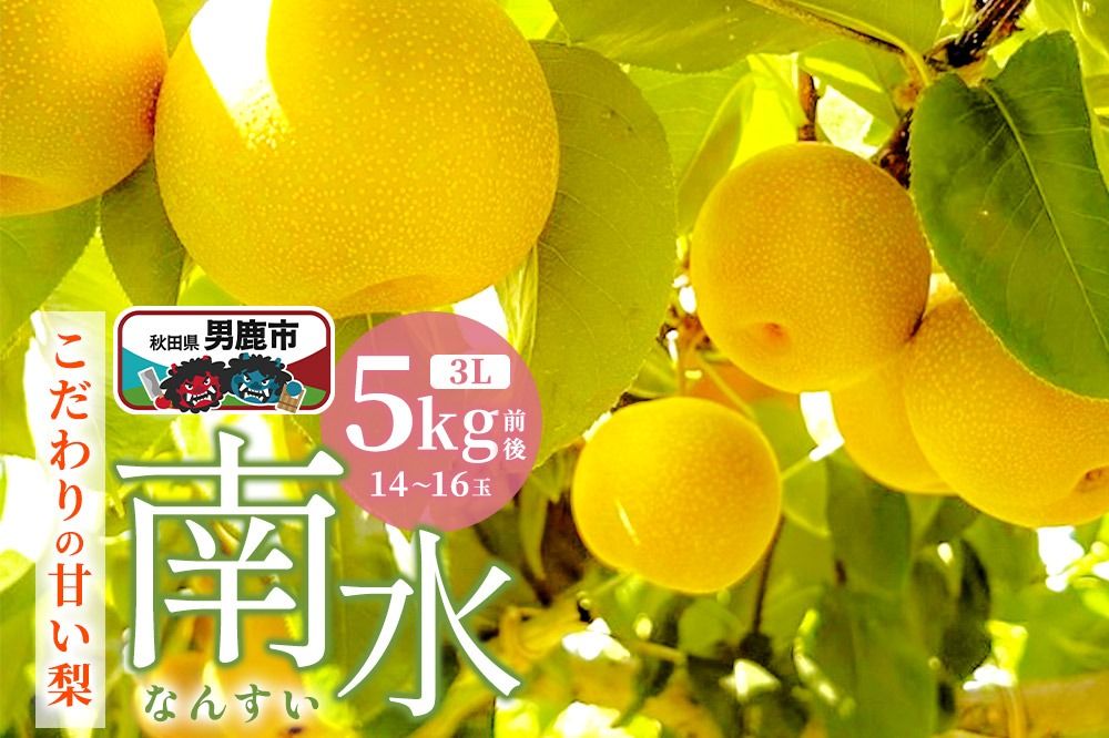 [先行受付]10月中旬〜下旬発送 南水 梨 こだわりの甘い梨 5kg前後 3L 14〜16玉 産地直送 旬の果物 ギフト 秋田県 男鹿市|23_nhn-050501