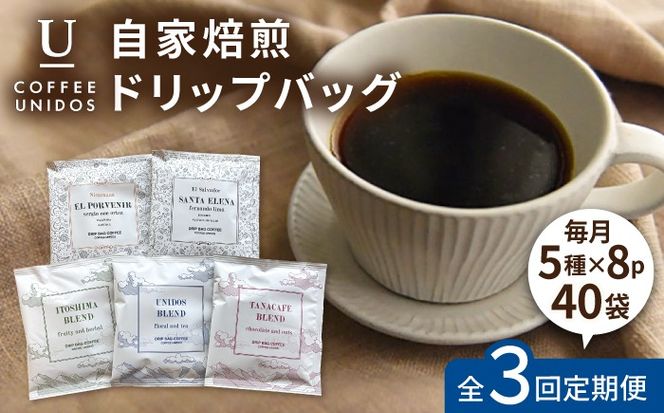 【全3回定期便】コーヒー ドリップ バッグ 40個 セット ( 5種類 × 8個 ) 糸島市 / COFFEE UNIDOS [AQF018] 珈琲 カフェ コーヒー粉