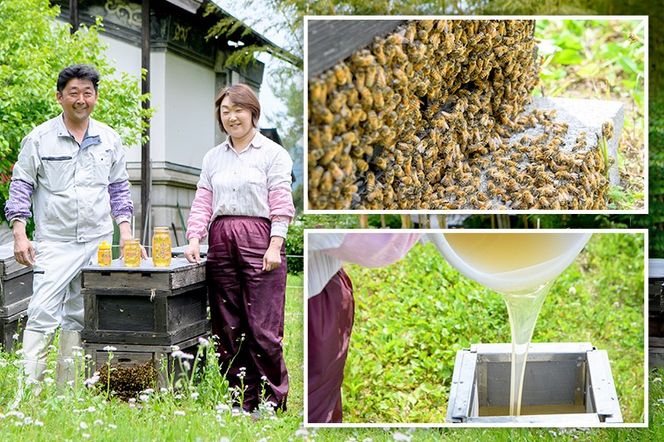 秋田県産はちみつ 百花 250g×1本 化粧箱入り 田沢湖養蜂場|02_tyj-400101