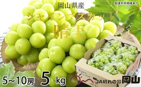 ぶどう 2026年 先行予約 シャイン マスカット 晴王 5房～10房 約5kg 8月下旬～11月下旬発送 ブドウ 葡萄 岡山県産 国産 フルーツ 果物 ギフト 岡山の葡萄 デザート 食後