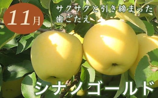 【6回定期便】小布施屋のフルーツ定期便　6ヵ月コース ［小布施屋］ 定期便 頒布会 フルーツ 果物 令和8年産 【2026年7月～12月発送】 ［J-3］