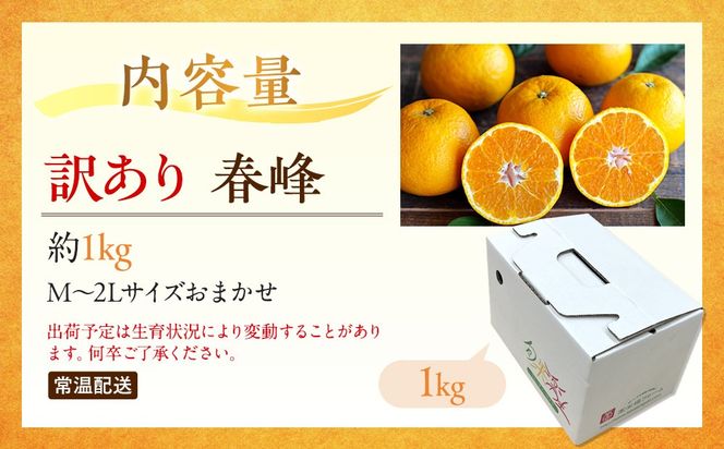 訳あり 春峰 1kg M～2Lサイズおまかせ 高石垣ファーム  K014
