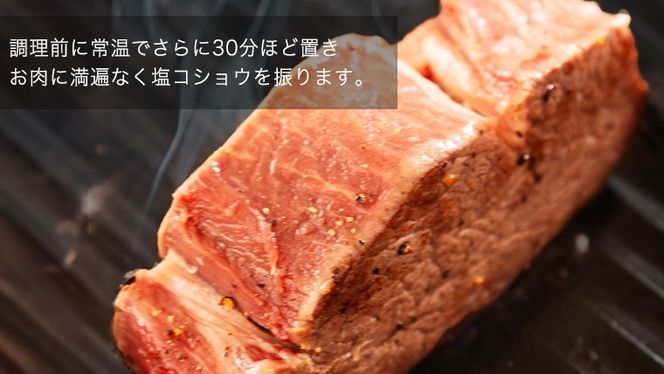 【 常陸牛 】 ヒレステーキ 600g ( 200g × 3枚 ) ステーキ ヒレ ヒレ肉 牛肉 ブランド牛 A4 A5 お肉 肉 黒毛和牛 和牛 国産黒毛和牛 国産牛 希少部位 焼肉 焼き肉 バーベキュー BBQ (茨城県共通返礼品) [BX02-NT]