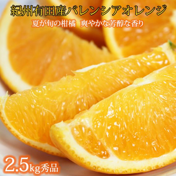 秀品 希少な国産バレンシアオレンジ 2.5kg | 果物 くだもの 柑橘 オレンジ フルーツ 和歌山 産地直送