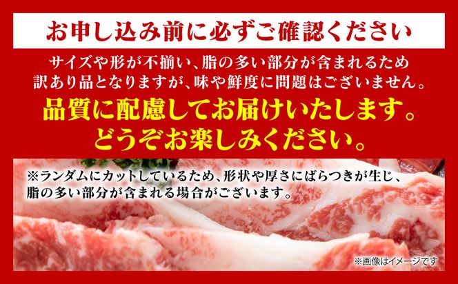【訳あり】 【A4～A5ランク】 くまもと黒毛和牛 焼肉 切り落とし 1kg （500g×2パック） 肩ロース バラ 牛肉 お肉 黒毛和牛 冷凍 焼肉 BBQ おかず 熊本県 八代市