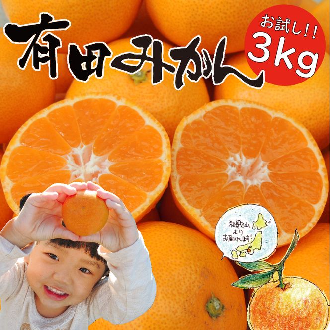 「はじめまして 有田みかん（和歌山県湯浅町産）」 お試し 約3kg ／ORYY推奨商品_DA6101n