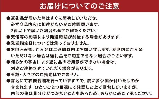 【先行受付】 特別栽培みかん（極早生） 5kg サイズミックス 極早生みかん 温州みかん みかん ミカン 蜜柑 フルーツ 柑橘 果物 果実 熊本県 上天草市【2026年9月下旬から10月下旬発送開始】
