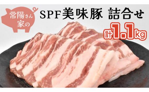常陽さん家の SPF 美味豚 詰合せ 計 1.1kg 食べ比べ セット 豚肉 ロース しゃぶしゃぶ用 300g×2 バラ焼き肉用 500g 計 1.1kg 国産 ブランド豚 銘柄豚 茨城 SPF認定 農場 焼肉 焼き肉 豚ロース 豚バラ ロース バラ お肉 [BW001us]