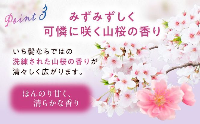 いち髪 なめらかスムースケア シャンプー＆コンディショナー 詰替用 各5袋セット 日用品 シャンプー 大容量 愛西市 / クラシエホームプロダクツ 【配送不可：離島】[AEBE003]