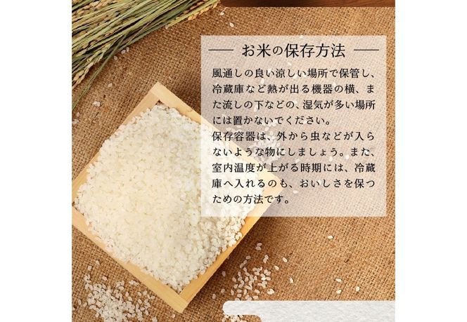 令和8年産 米 5kg 富士吉田市産 『美富士の夢来ゴールド』選べる種類 【 精米 / 無洗米 】  白米 こめ 希少米 極上 五ッ星 厳選 山梨 富士吉田