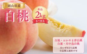 【先行受付】岡山県産白桃2kg＜品種おまかせ＞ | 岡山県産 桃 白鳳 おかやま夢 白麗川中島白桃 白桃フルーツ 果物 高級フルーツ 岡山 桃 お取り寄せ 産地直送 国産フルーツ 人気 数量限定 旬の果物 甘い ジューシー 芳醇 みずみずしい もも 先行予約