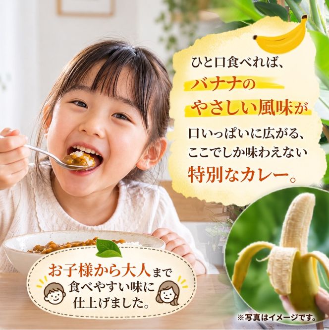 ばななカレーセット|ばなな カレー 黄金ときめきバナナ あまい 特製 益子町産（CA007）