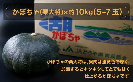 北海道 豊浦町 かぼちゃ 栗大将 約10kg 5～7玉 TYUL003