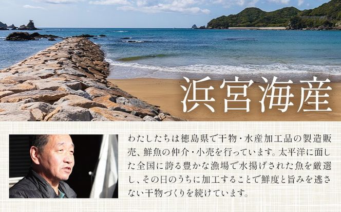 はまみや海産 美波 の 特選 干物セット 選べるセット 大 小《30日以内に出荷予定（土日祝除く）》徳島県 佐那河内村 干物 ひもの みりん干し 一夜干し---sanagouchi_hmk_2_hss--