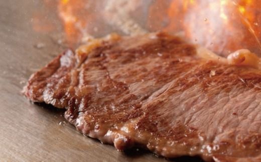 博多和牛 サーロインステーキ 250g × 2枚 合計500g 柔らかい ジューシー 食肉技術専門士 厳選 真空パック 冷凍 和牛 牛肉 牛 肉 お肉 にく ニク ステーキ サーロイン