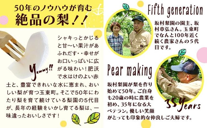 梨 なし 甘太梨 約5kg(5～18玉前後) 坂村梨園 《8月中旬-11月上旬頃出荷》熊本県 玉東町 秋 旬 梨 フルーツ 果物 期間限定---gkt_skmr_3_5kg---