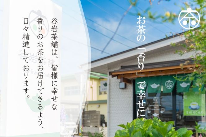 お茶 緑茶 深蒸し煎茶 深緑 100g×1本 [谷岩茶舗 宮崎県 日向市 452061604] 茶葉 プラチナ賞