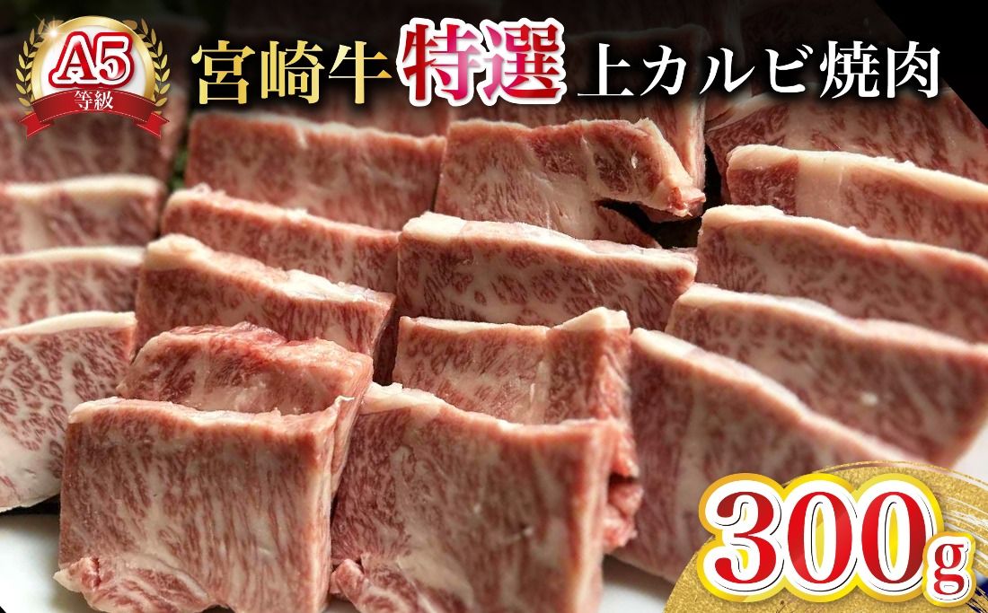 [新鮮チルド発送!!]A5等級宮崎牛特選上カルビ焼肉 300g(黒毛和牛 牛肉 宮崎牛 赤身 カルビ 焼肉用 宮崎県)
