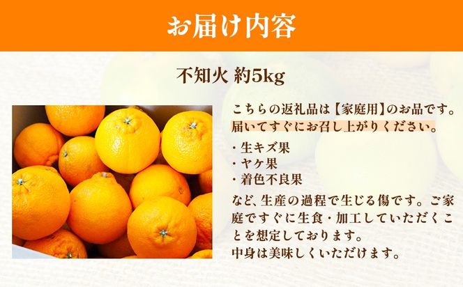 【先行予約】【家庭用】不知火 計5kg ※離島への配送不可（2027年2月中旬頃より順次発送予定）IKTAC029
