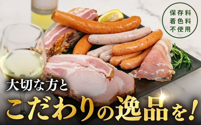【全12回定期便】＼DLG金賞・銀賞受賞！／糸島の陽光 ハム 6種 セット 6 糸島市 / 志摩スモークハウス ハム ソーセージ 食べ比べ[AOA052]