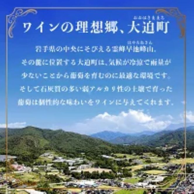 国際ワインコンクール受賞6本セット  エーデルワイン 【627】