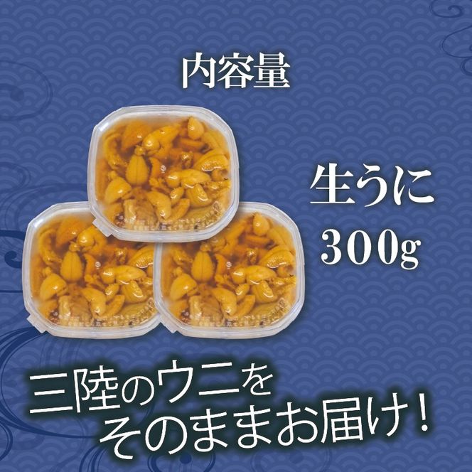生ウニ 300g (100g×3) 冷蔵 ミョウバン不使用 ムラサキウニ 季節限定 生うに 生雲丹 天然 海鮮丼 寿司 ウニ丼 刺身 岩手県産