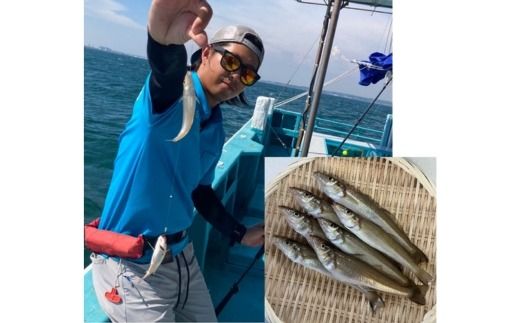 かもめ釣船 乗船チケット （9,000円分） | 釣り船 キャスティング サビキ ルアー 泳がせ 初心者歓迎 釣船 フィッシング 船釣り 体験 レジャー 船 船 魚 釣り さかな チケット 観光 旅行 ふね 釣舟 ふるさと納税魚 ふるさと納税フィッシング ふるさと納税体験 ふるさと納税釣り クーポン 乗船券 ふるさと納税利用券 愛知県 美浜町 人気 おすすめ