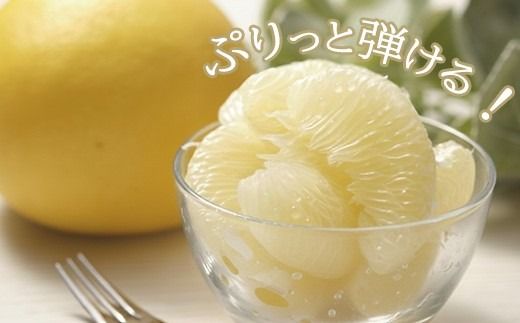 【早期予約 2026年2月上旬より順次発送】 土佐文旦 選べる容量 サイズ 約5kg 約10kg M ~ 4L 高知県産 柑橘 フルーツ 文旦 ぶんたん ブンタン 分担 果物 みかん 文旦 蜜柑 お裾分け デザート 柑橘 産地直送 訳あり 家庭用 文旦高知 5キロ 10キロ 高知県 安芸市 南国高知 HNT011