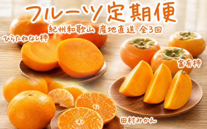 【全3回定期便】秋の味覚 果物定期便　柿・みかん　旬のフルーツを毎月お届け♪【tkb130】