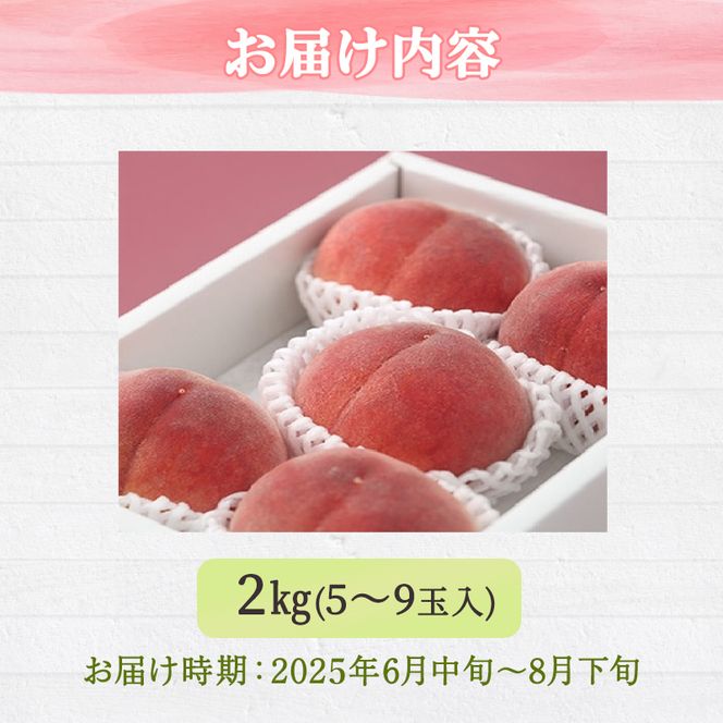 桃 白桃 先行予約 錦の桃 2kg 約5玉～9玉 もも モモ フルーツ 果物 デザート 2026年発送 鎌木果樹園 配送不可:離島 