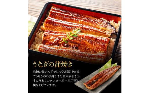 【CF-R7hbk】うなぎ蒲焼き 3尾 + 藁焼き(白焼き)3尾 6尾セット 1尾約140g タレ付き うなぎ 鰻 ウナギ 蒲焼き かば焼き わら焼き 天日塩付き ポン酢付き 養殖 国産 お取り寄せ 冷凍 配送