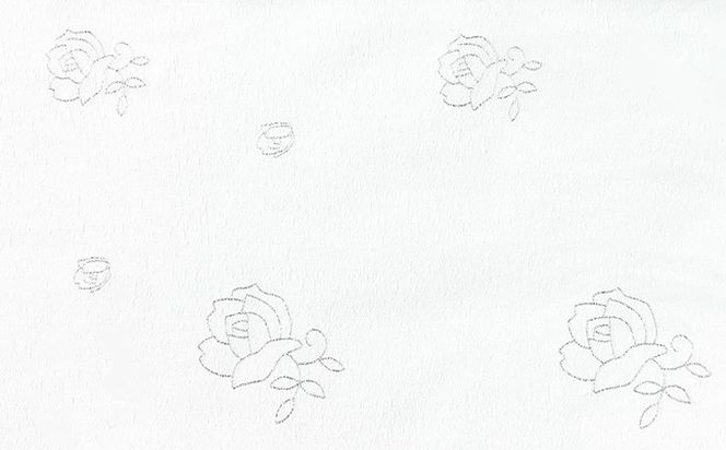 【定期便３か月】黒バラの香り　トイレットペーパーダブル 48ロールを3回お届け