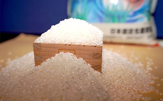 令和7年産 新米 有機栽培米コシヒカリ 石川県加賀市産（合鴨米）精米5kg お米 合鴨 コメ 米 ごはん 有機栽培 有機JAS認証 グルメ 食品 復興 震災 コロナ 能登半島地震復興支援 北陸新幹線 F6P-2992