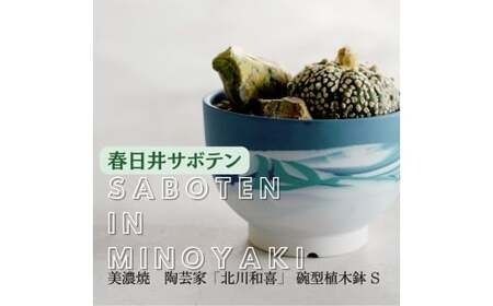 多治見市×春日井市コラボ 【美濃焼】 陶芸家「北川和喜」 碗型植木鉢 S× 【日本有数のサボテン産地】 春日井市の名店 後藤サボテン