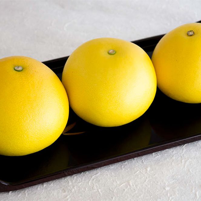 ＜先行予約 2026年2月上旬より順次発送＞高知県産土佐文旦家庭用小玉商品10kg