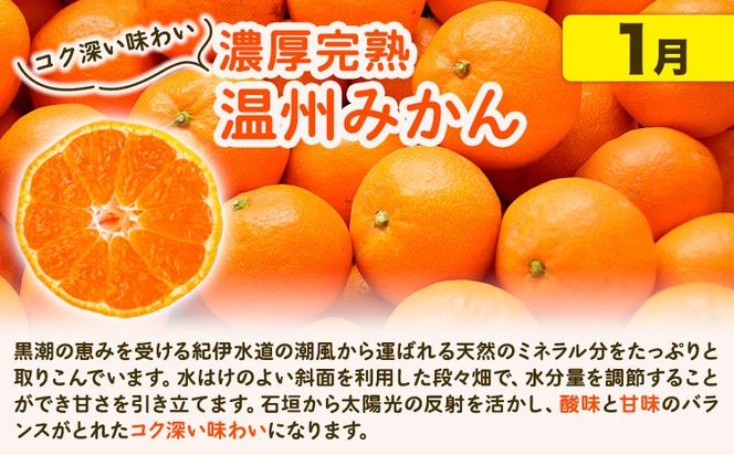 【発送月固定定期便】紀州 和歌山産 旬の ご家庭用 柑橘 セット (みかん 不知火 清見)【全３回】選べる 計16kg 計23.5kg 株式会社魚鶴《2027年1月上旬-4月上旬頃出荷》 和歌山県 日高川町 オレンジ 柑橘 蜜柑 果物 訳あり 送料無料 定期便---wshg_uotteik2_25_36000_mo3num1---