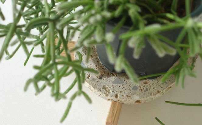 センダイフォルム プランツコースター ブラック【雑貨 日用品 観葉植物 植物 プランター 植木鉢  プラント 仙台 コースター  インテリア 生活雑貨 癒し 空間】 041009_FT001VC02