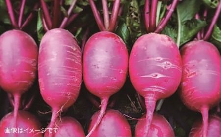 【全3回定期便】【福岡県糸島産】朝採れ サラダ用 野菜 セット 《糸島》【オーガニックナガミツファーム】 [AGE005] 野菜セット 野菜 やさい サラダ 詰め合わせ トマト とまと 野菜野菜セット 野菜やさい 野菜サラダ 野菜詰め合わせ 野菜トマト 野菜とまと 野菜ベビーリーフ 野菜水菜 野菜ハーブ 野菜オクラ 野菜人参 野菜にんじん 野菜ニンジン 野菜ほうれん草 野菜クレソン 野菜かぼちゃ 野菜カボチャ 野菜じゃがいも 野菜玉ねぎ