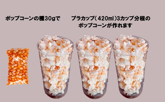 レンジで作れるポップコーン　3袋入り　ポップコーン　種　簡単　手作り　おやつ　食育