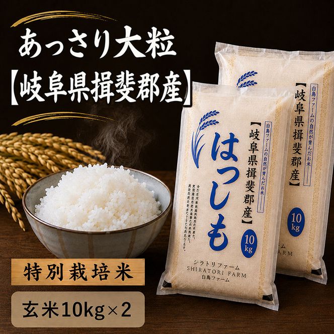 【令和7年産】特別栽培米 20kg【玄米】（ハツシモ）