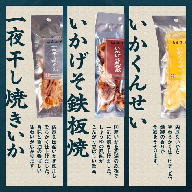 函館珍味6種セット おつまみ 珍味 珍味セット おつまみセット ホタテ 貝ひも あたりめ 焼きいか いかげそ げそ パック 小分け 晩酌 おすすめ 函館 人気 お裾分け 贈り物 グルメ ふるさと ギフト 贈答 プレゼント 北海道 函館市 送料無料_HD246-001