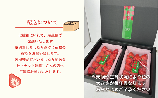 ＜すずあかね 2パックセット＞ 北海道 道産 夏いちご すずあかね