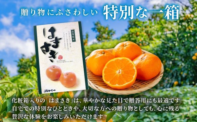 はまさき 約2.5kg 化粧箱入り